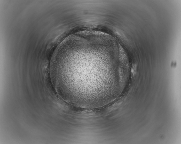 X0000090440867200707272152