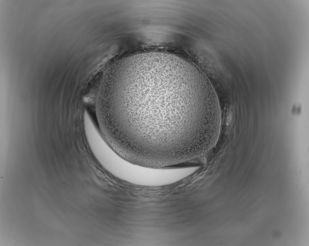 X0000090440868200707272152