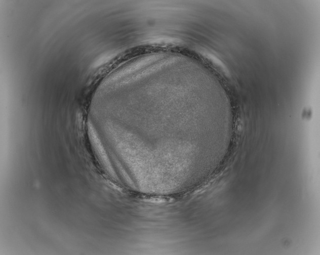 X0000090440869200707272152