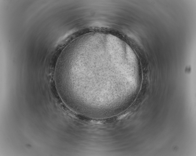 X0000090440870200707272152