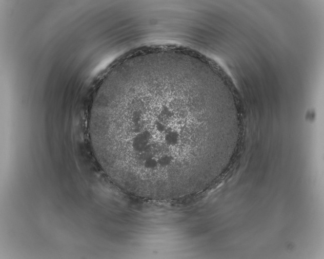 X0000090440871200707272152