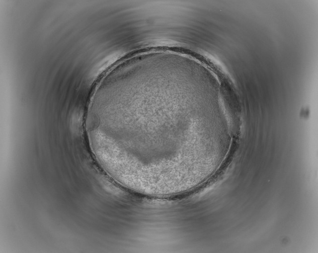 X0000090440873200707272152