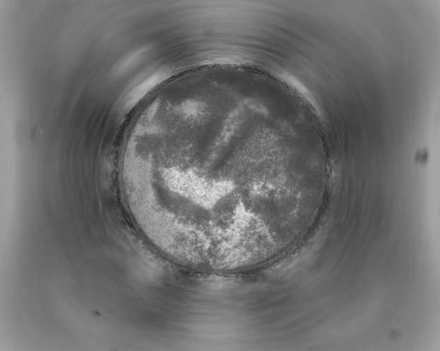 X0000090440874200707272152