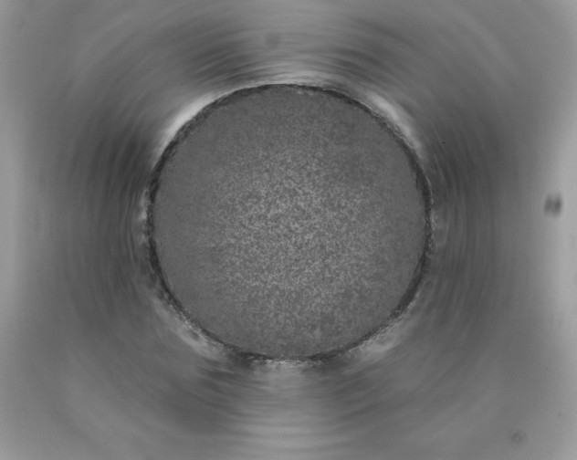 X0000090440875200707272152