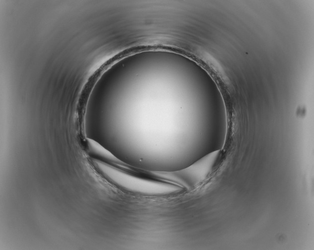 X0000090440876200707272152