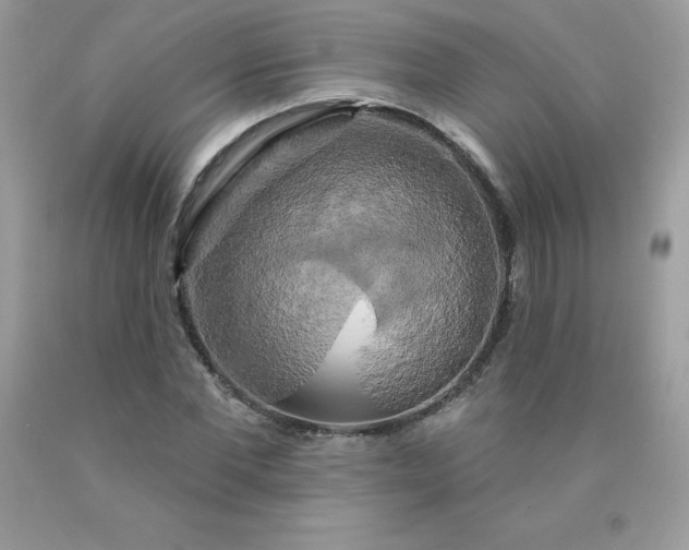 X0000090440877200707272152