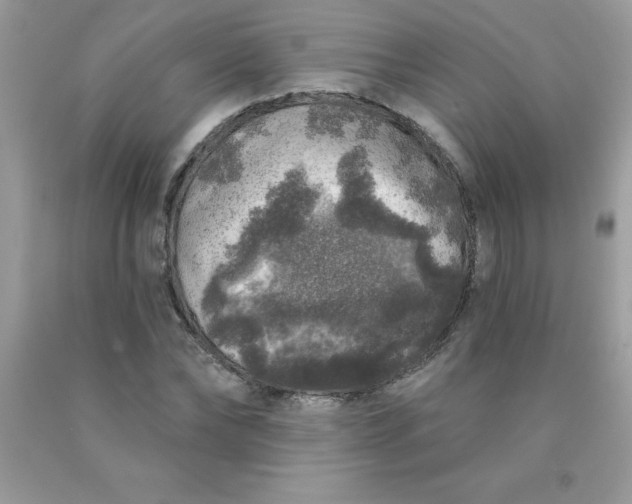 X0000090440878200707272152