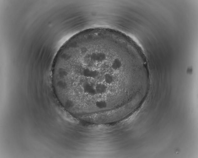 X0000090440879200707272152