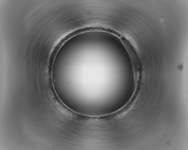 X0000090440880200707272152