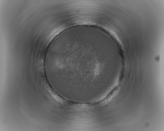 X0000090440881200707272152