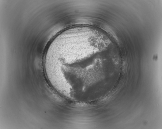 X0000090440882200707272152