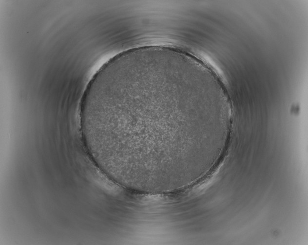 X0000090440883200707272152