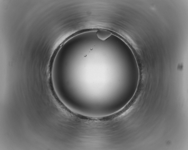 X0000090440885200707272152