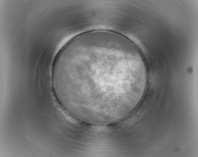 X0000090440886200707272152