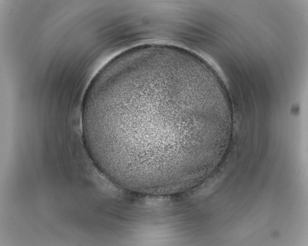 X0000090440887200707272152