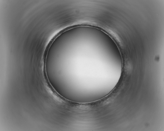 X0000090440888200707272152