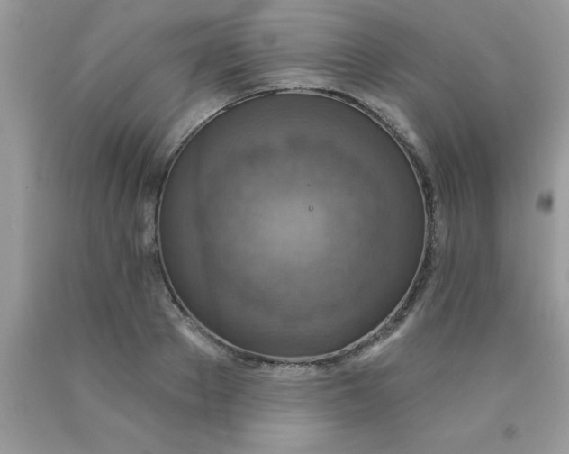 X0000090440889200707272152