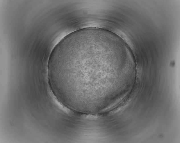 X0000090440890200707272152