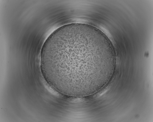 X0000090440891200707272152