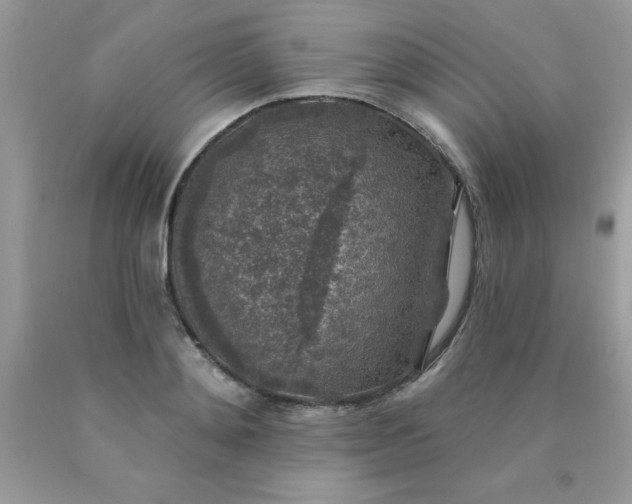 X0000090440892200707272152