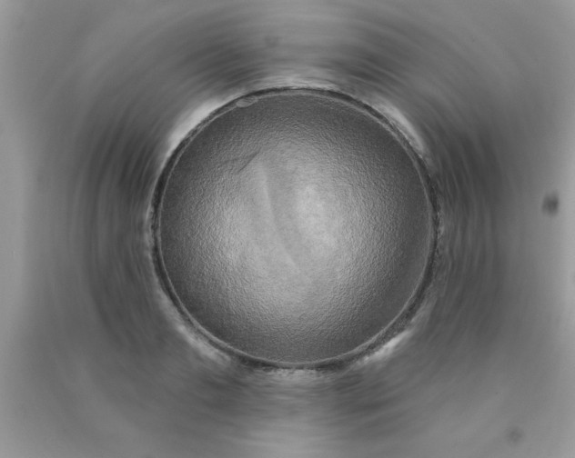 X0000090440893200707272152