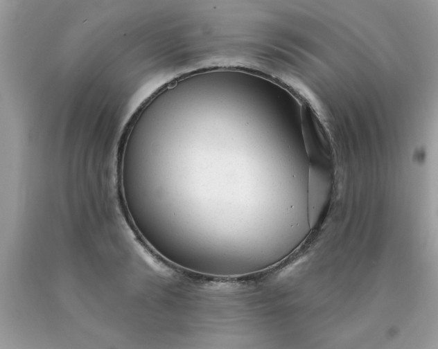 X0000090440894200707272152