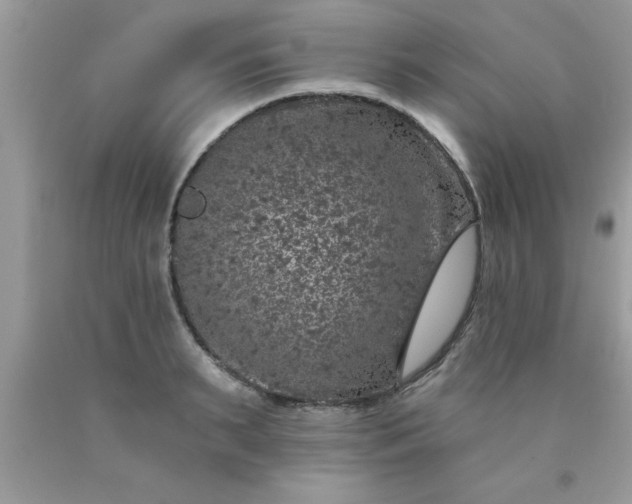 X0000090440895200707272152