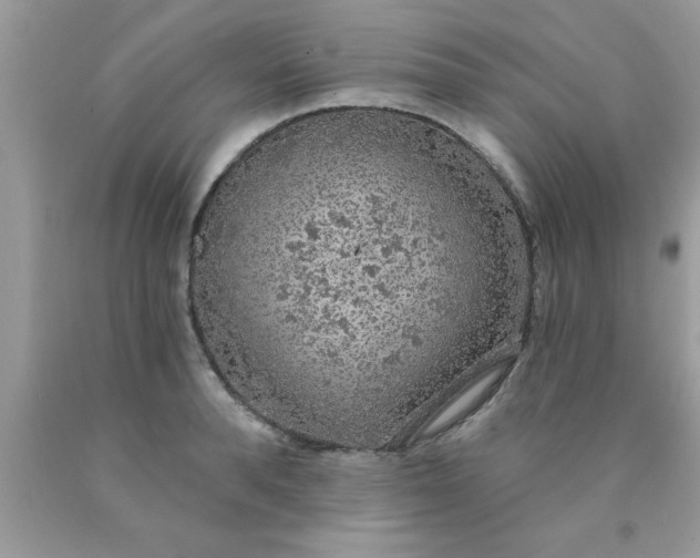 X0000090440896200707272152