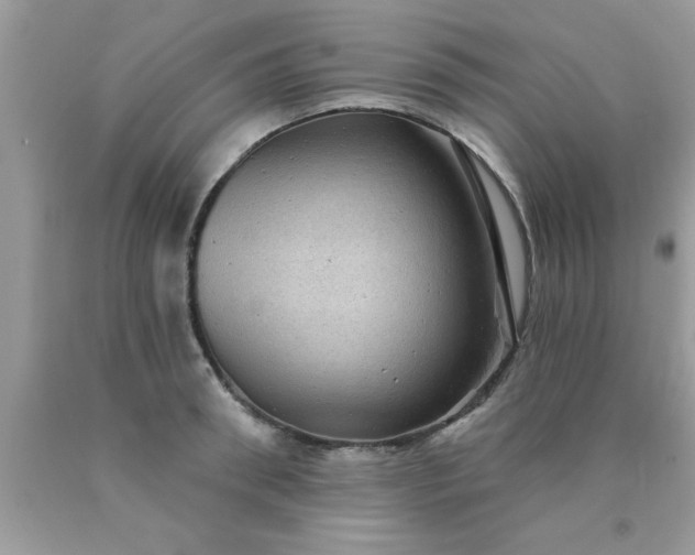 X0000090440898200707272152