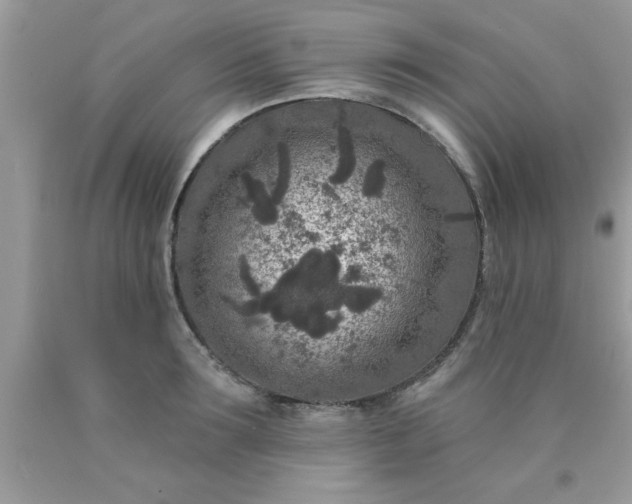 X0000090440899200707272152