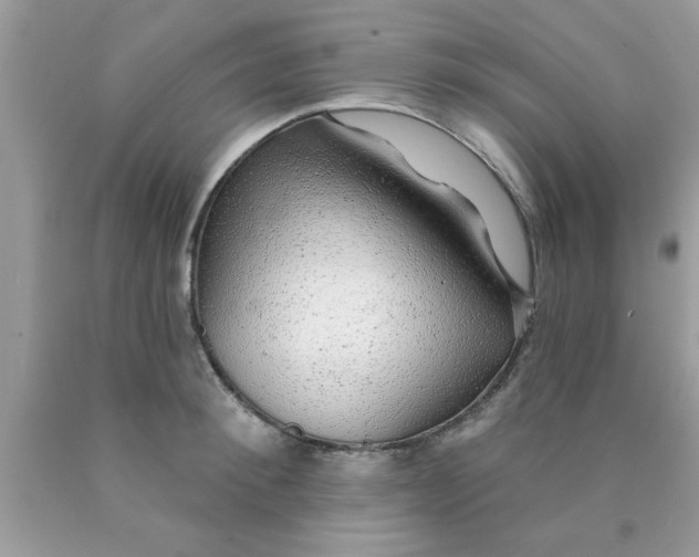 X0000090440900200707272152