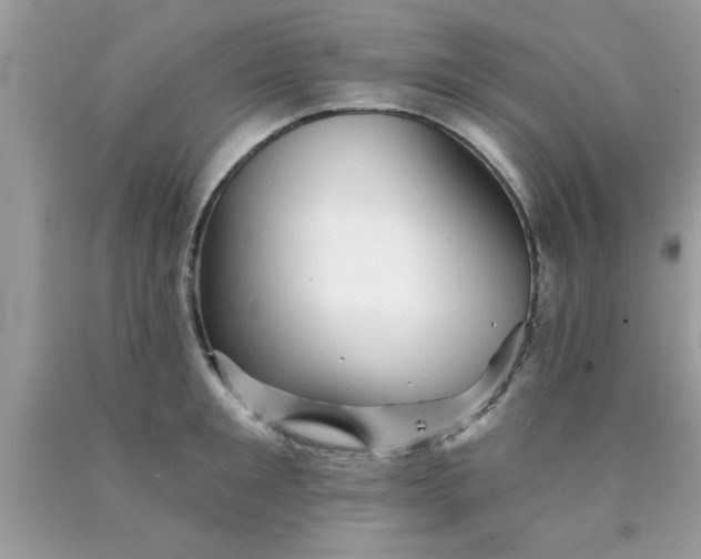 X0000090440901200707272152