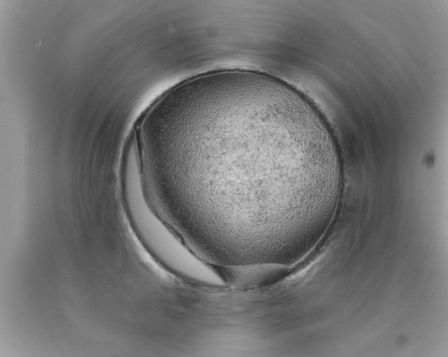 X0000090440902200707272152