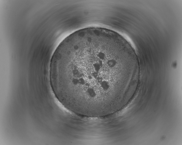 X0000090440903200707272152