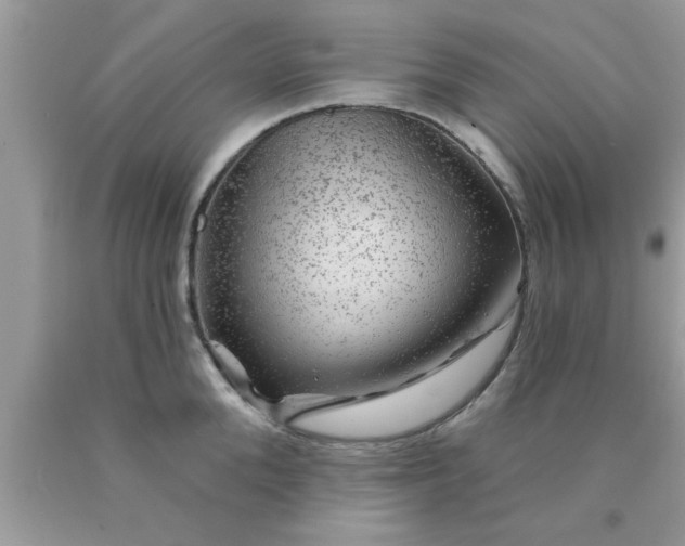 X0000090440904200707272152