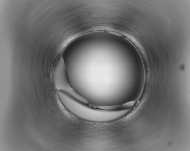 X0000090440905200707272152