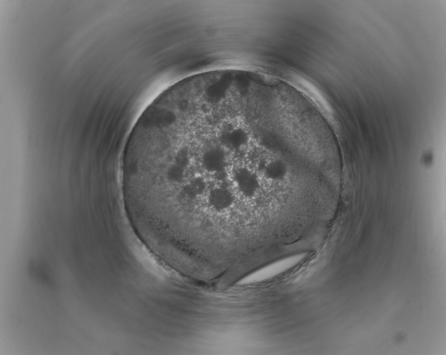 X0000090440907200707272152