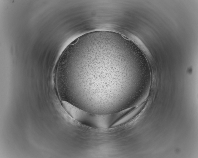 X0000090440908200707272152