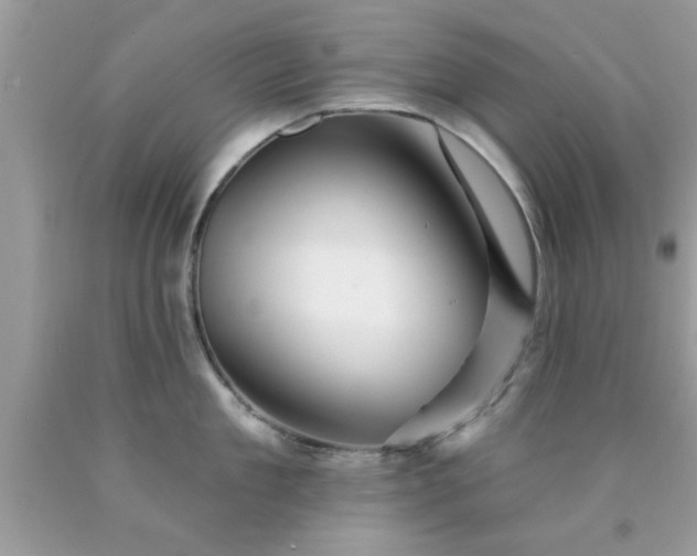 X0000090440909200707272152