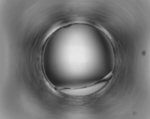 X0000090440910200707272152