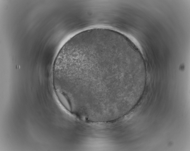 X0000090440911200707272152