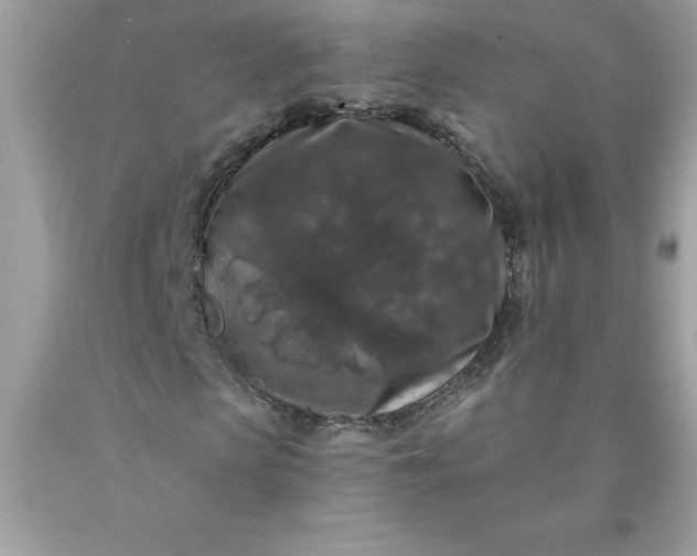 X0000090440913200707272151