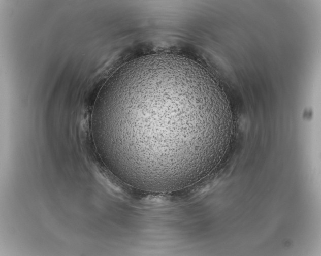 X0000090440914200707272151