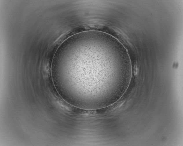 X0000090440915200707272151