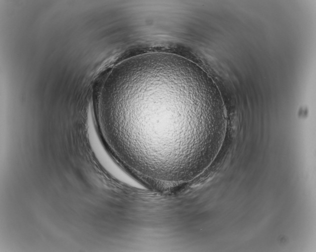 X0000090440916200707272151