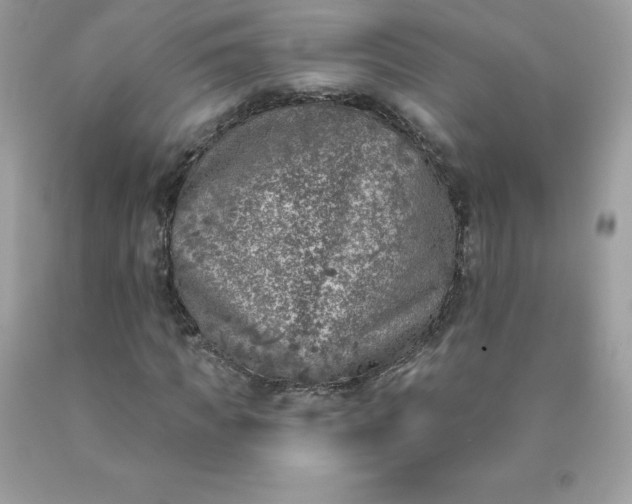 X0000090440917200707272151