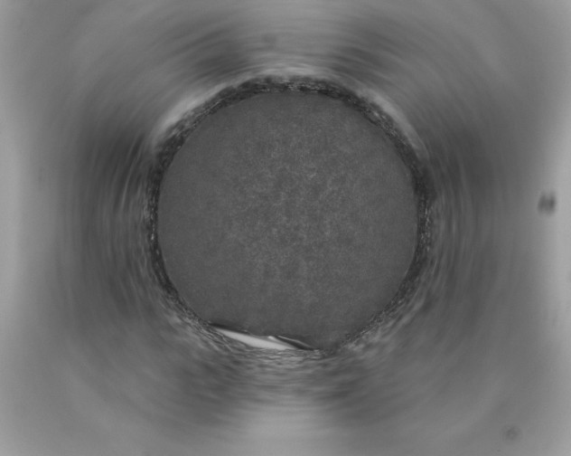 X0000090440919200707272151