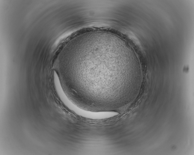 X0000090440920200707272151