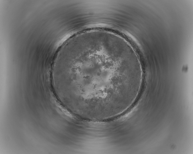 X0000090440921200707272151