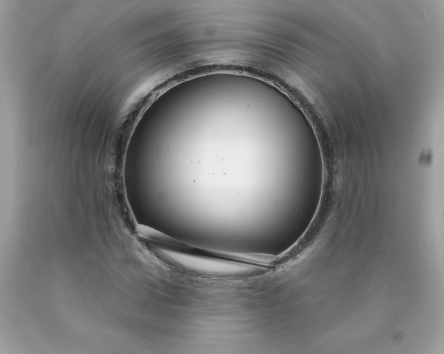 X0000090440922200707272151